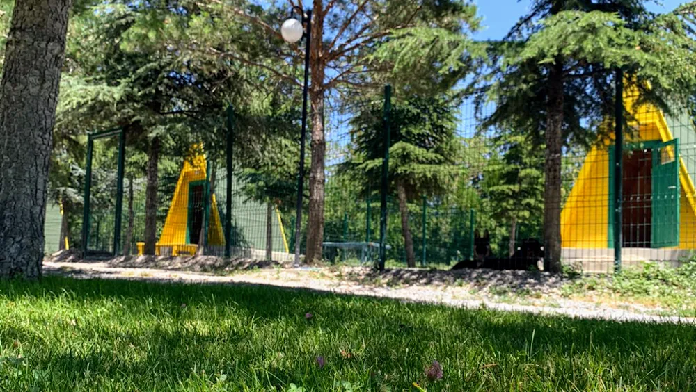 Pet Villas Köpek Oteli Eğitimi ve Rehabilitasyon Merkezi - Ankara pet otel görseli 10