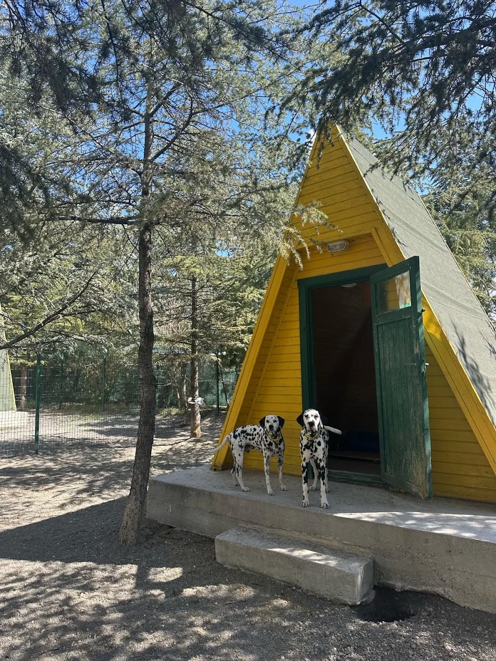 Pet Villas Köpek Oteli Eğitimi ve Rehabilitasyon Merkezi - Ankara pet otel görseli 11