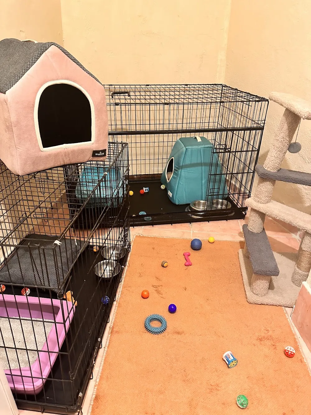 Pet's Pansiyon - Istanbul pet otel görseli 2