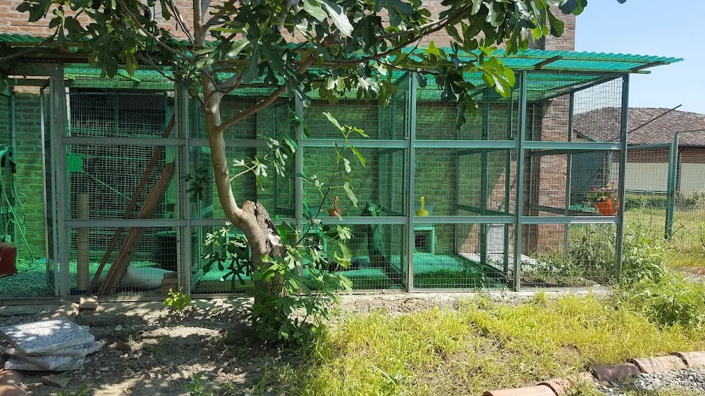 Minizoo - Toelettatura per Cani e Gatti e pensione per gatti - Piacenza pet otel