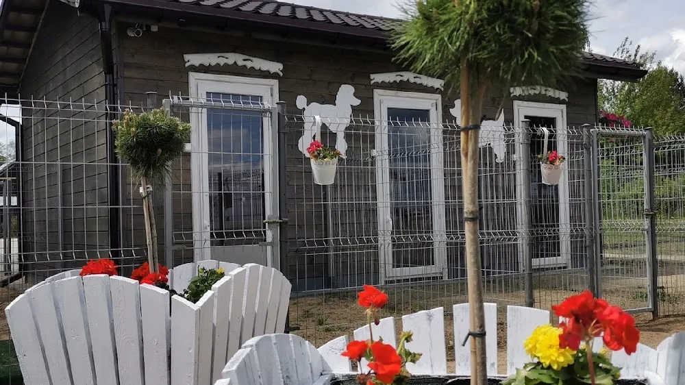Dog City - Hotel dla psów - Piaseczno pet otel