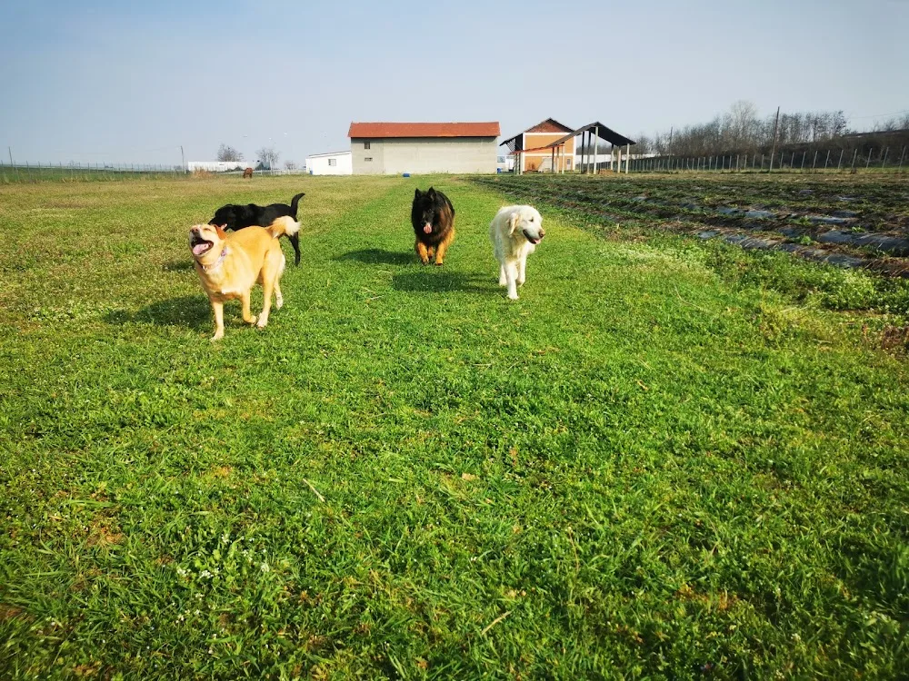 ALESSO ALICE - Piedmont pet otel