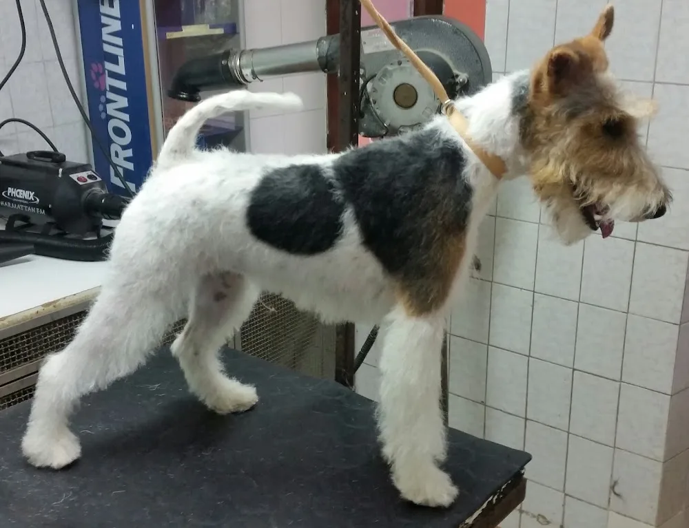 Casa del Cane - Piedmont pet otel