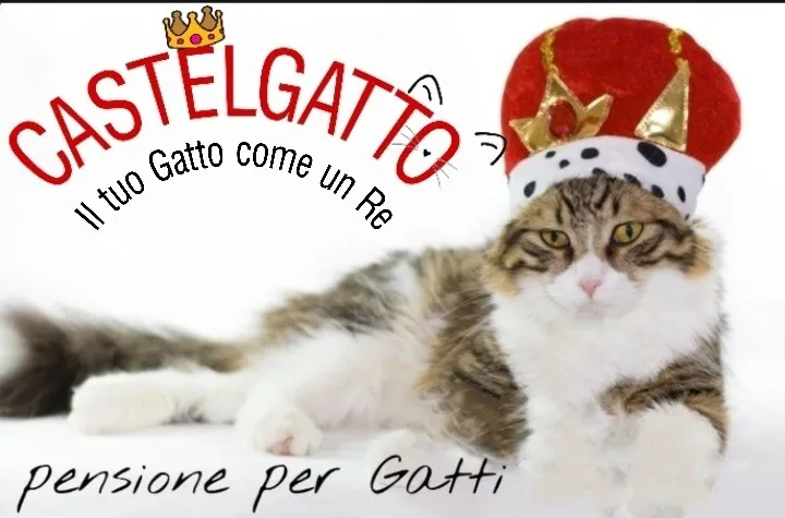 CastelGatto - Piedmont pet otel