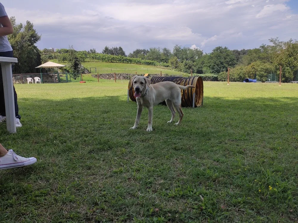 Centro Cinofilo Liebe nera - Piedmont pet otel görseli 3