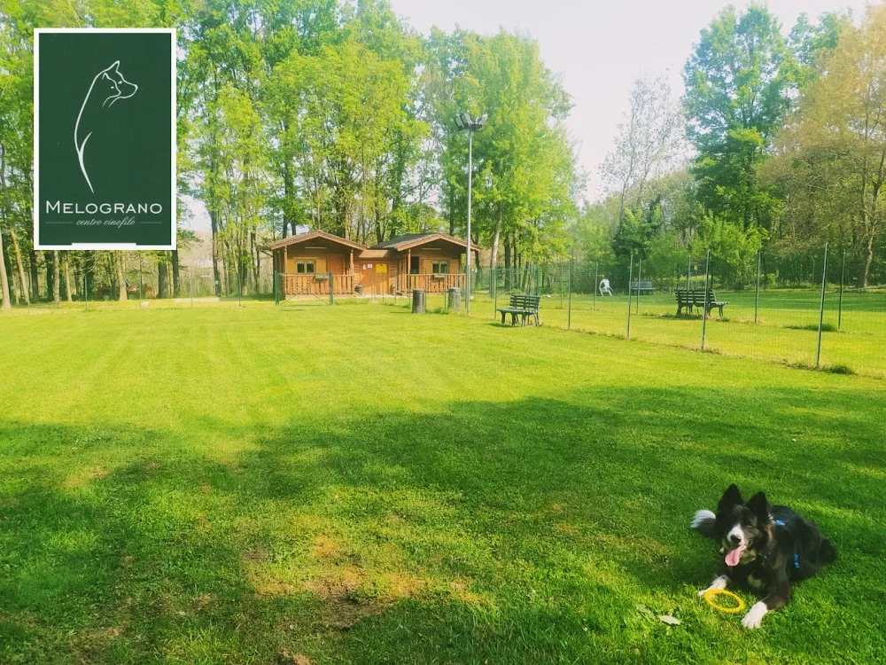 Il Melograno Centro Cinofilo - Piedmont pet otel