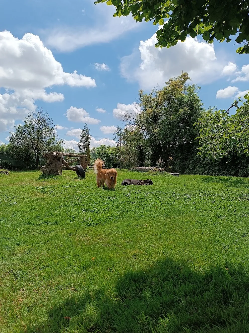 La Tana del Boarone - Piedmont pet otel görseli 3