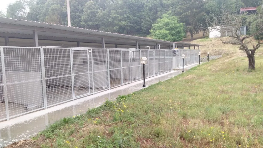 Lovedreamkennel - Piedmont pet otel