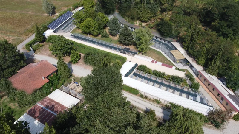 Mein Staffi Allevamento e Pensione - Piedmont pet otel görseli 3