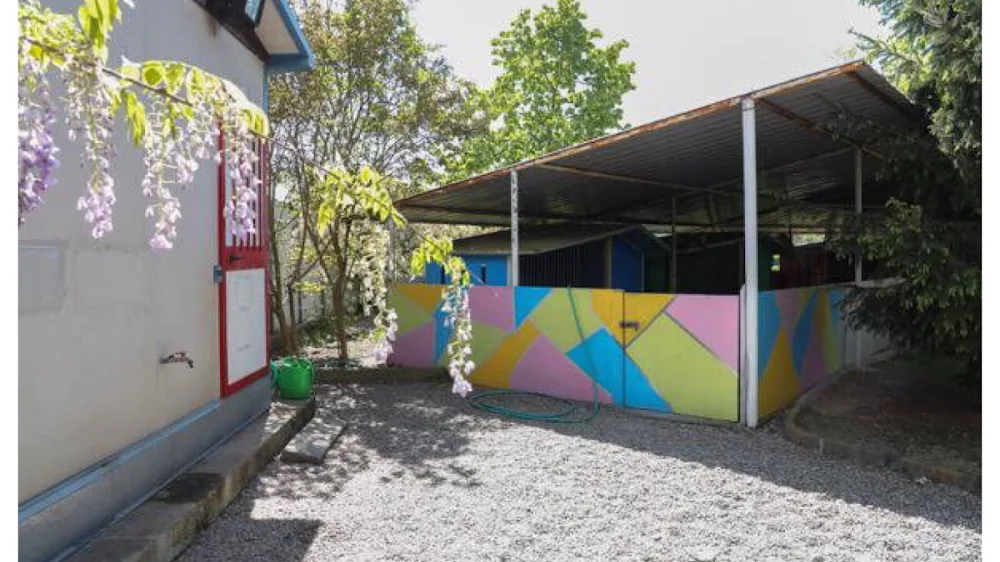 Per un Pelo - Pensione Professionale per Cani Gatti e altri Animali - Piedmont pet otel