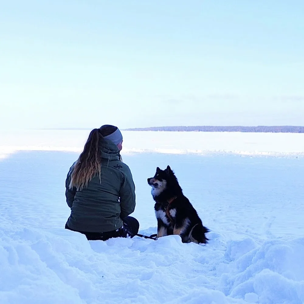 Ahulin kennel - Pirkanmaa pet otel görseli 13