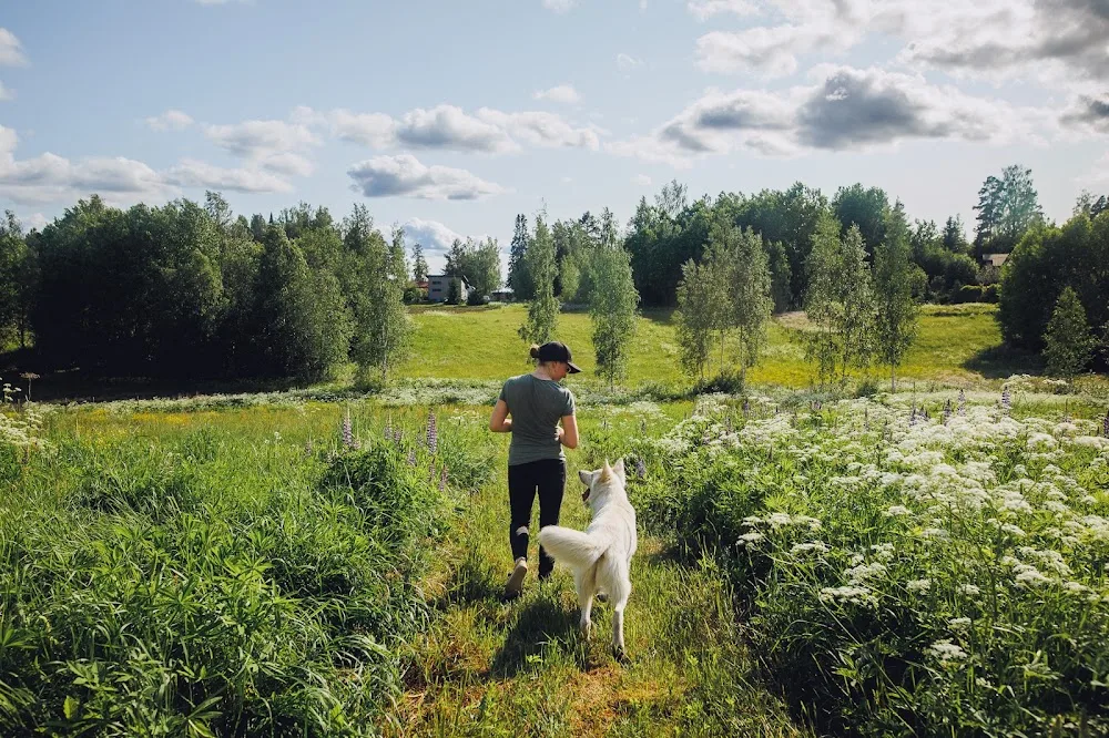 Hurttapirtti - Pirkanmaa pet otel görseli 7
