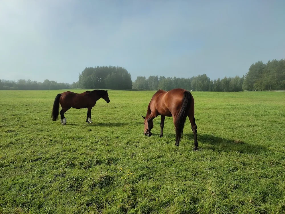 Lammastila Tanila ja eläintenhoitopalvelu/Pieni puutyöläinen - Pirkanmaa pet otel