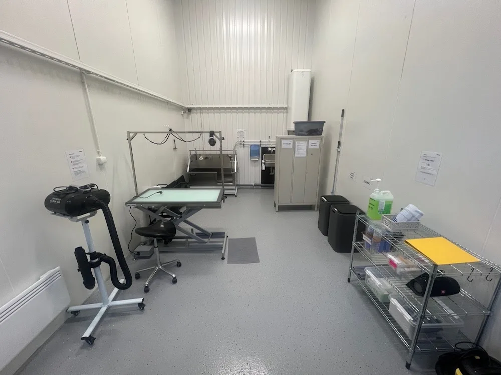 Lemmikkipesula PawSpa - Pirkanmaa pet otel