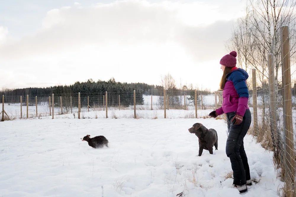 Tokiko - Pirkanmaa pet otel