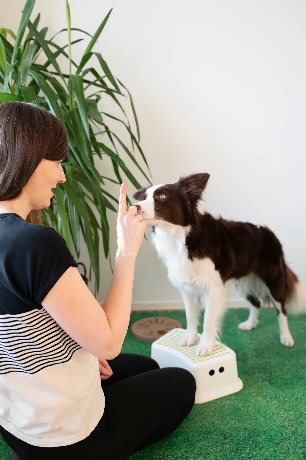 Tokiko - Pirkanmaa pet otel görseli 3