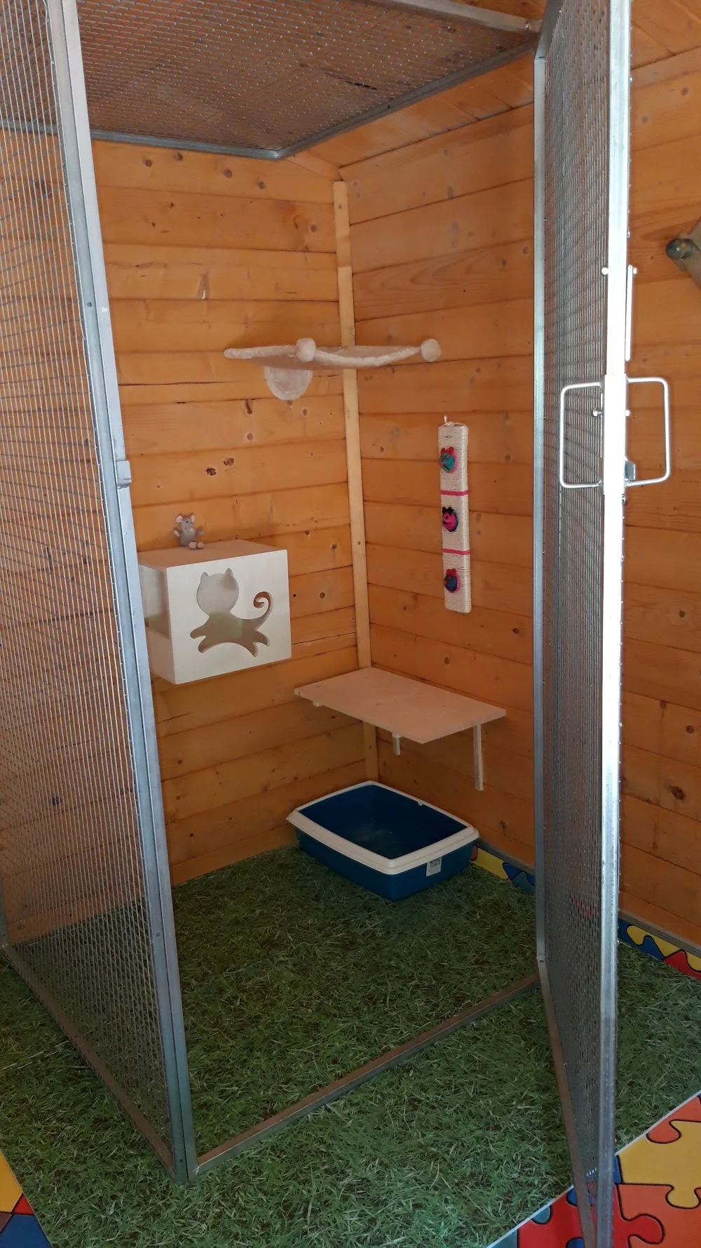 A Casa di Biagio servizio dog/cat sitter h24 - Pistoia pet otel görseli 3