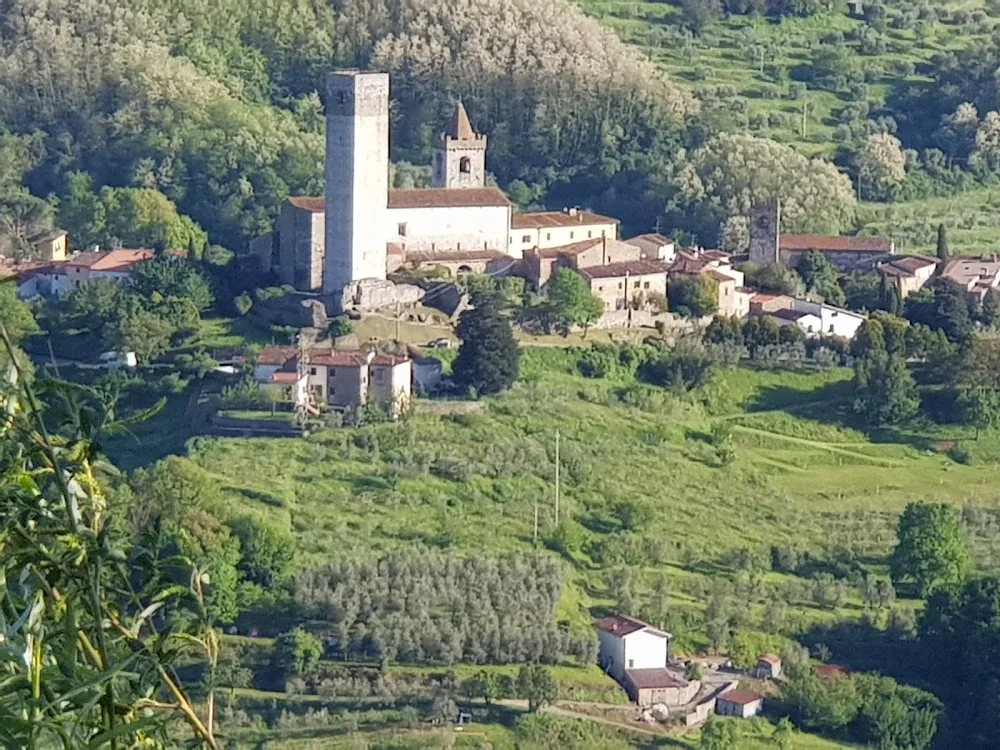 Pensione Cani - Allevamento Le Principesse Dei Giacchini Pettini Laura - Pistoia pet otel görseli 3