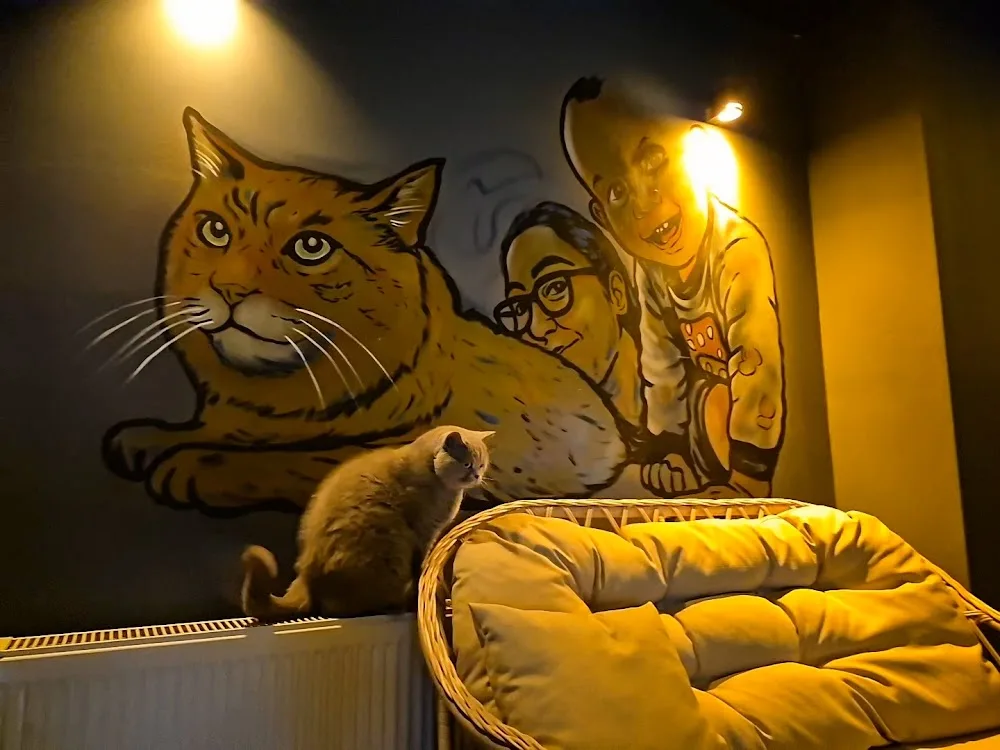 Pitosh Home CAT HOTEL - Ankara pet otel görseli 2