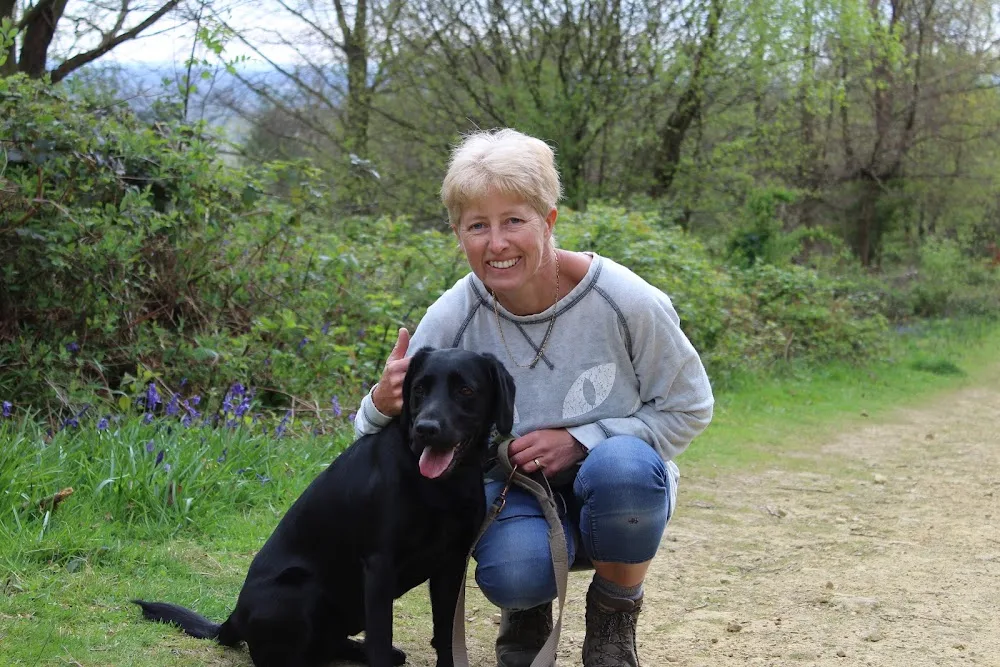 Doggie Rambles: Dog Walking, Daycare and Boarding - Horsham/Warnham/Broadbrige Heath + Boarding Licence No. L1/21/0592/HOMEB - Plummers Plain pet otel