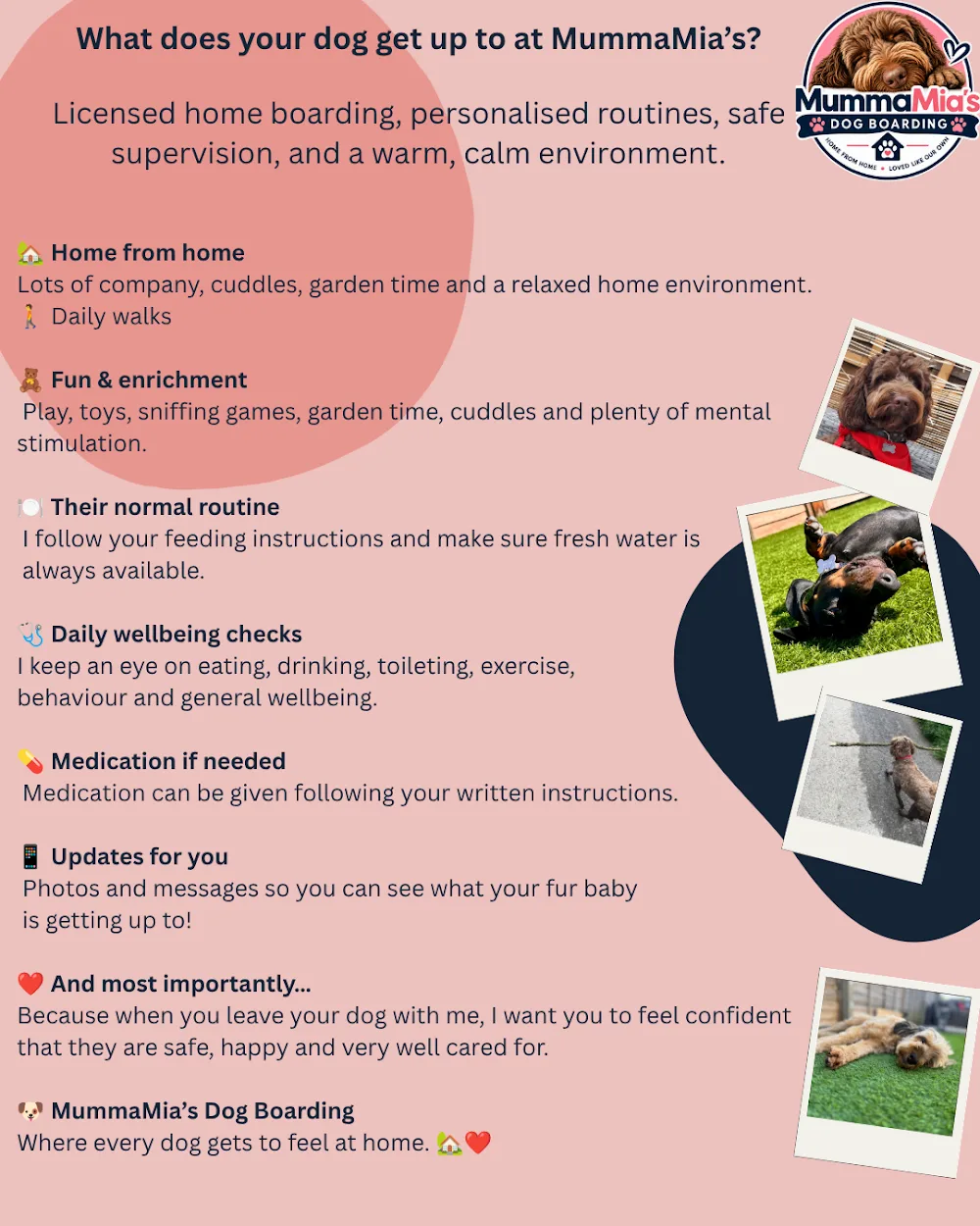 Mumma Mia's Dog Boarding - Plummers Plain pet otel