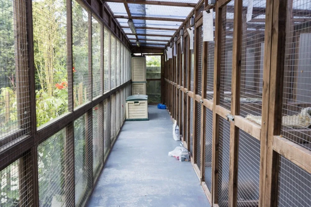 Winterpick Boarding Cattery And Small Animal Hotel - Plummers Plain pet otel