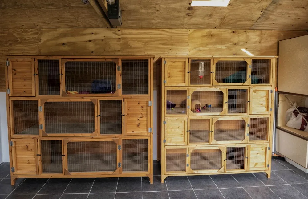 Winterpick Boarding Cattery And Small Animal Hotel - Plummers Plain pet otel görseli 3