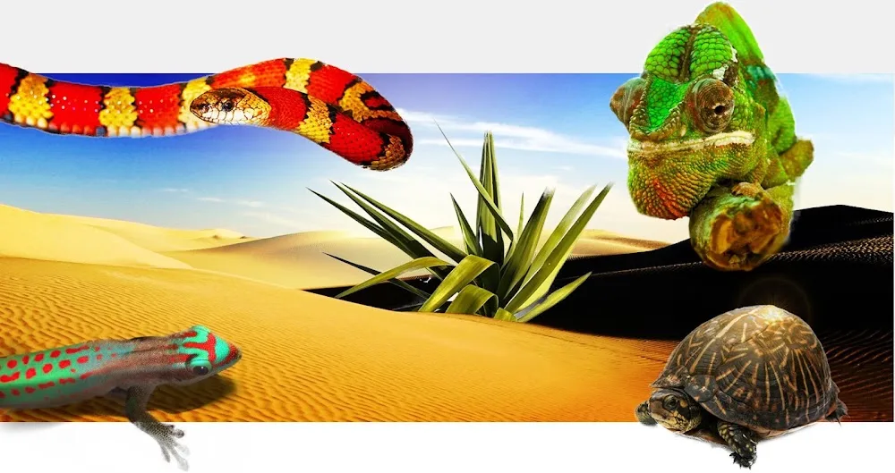 Frozen Rodents s.r.o. - Plzeň-město pet otel