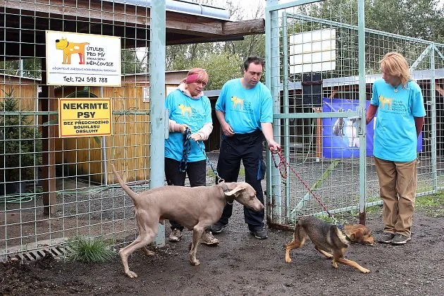 Útulek pro psy Zdeňka Srstky Němčovice - Plzeňský kraj pet otel