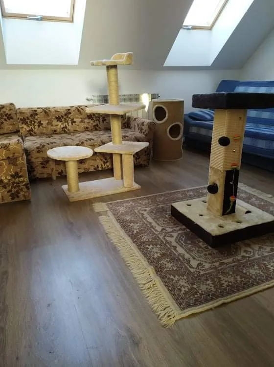 Gladiator -Hotel dla zwierząt i szkolenie psów - Podlaskie pet otel görseli 3