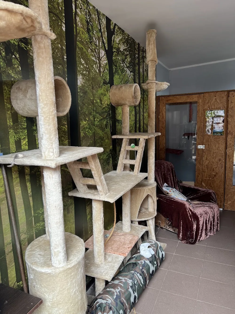 Trypucie Hotel dla zwierząt - Podlaskie pet otel görseli 3