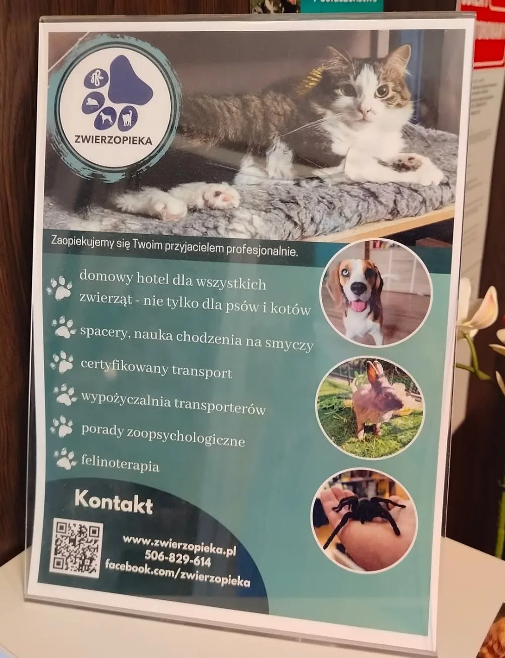 Zwierzopieka - hotel dla zwierząt - Podlaskie pet otel