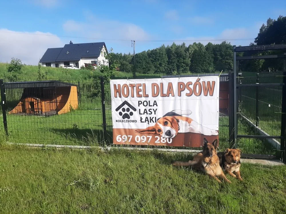Hotel PSIAKI - Pomerania pet otel