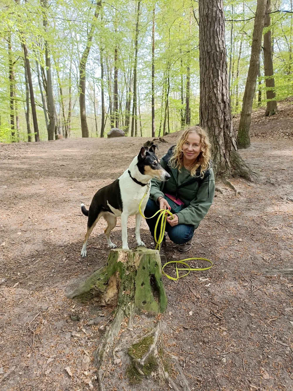 Monika Sawala - Opiekun Zwierząt, Zoopsycholog, Trener psów, Hotel dla psów - Pomerania pet otel görseli 3
