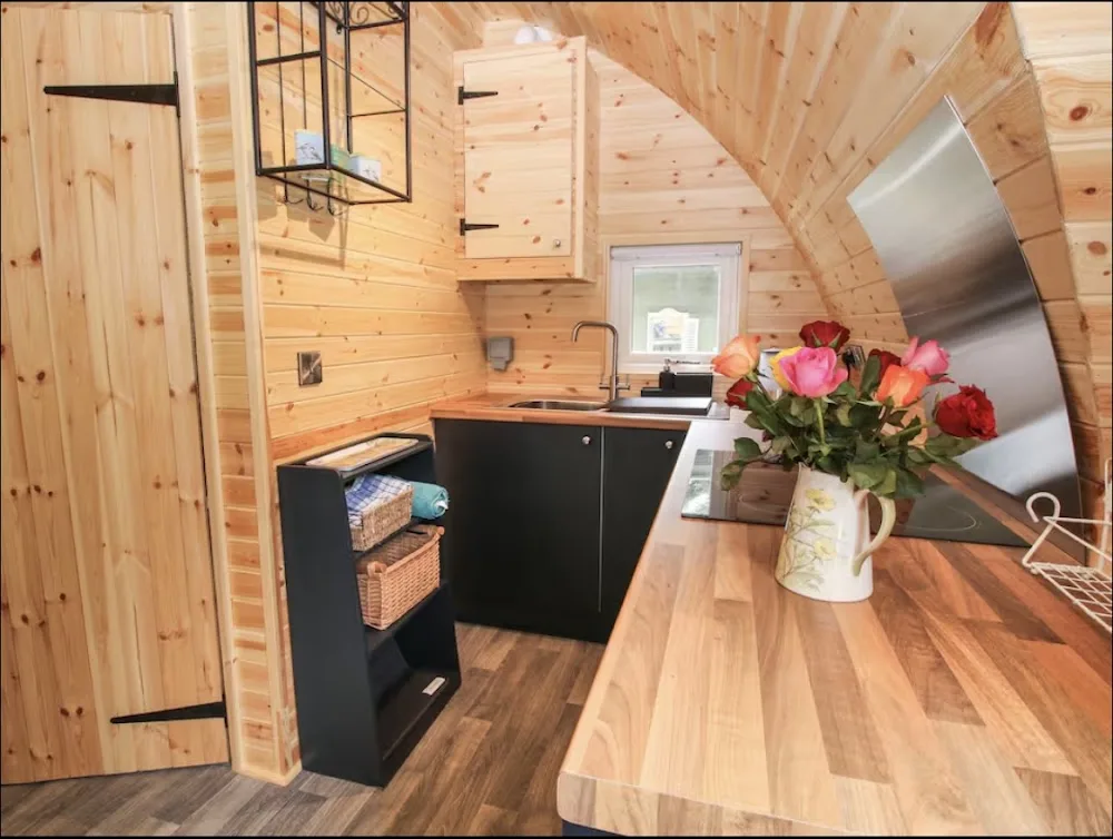 Hampton Hayes Kennels And Cattery - Pontesford pet otel görseli 3