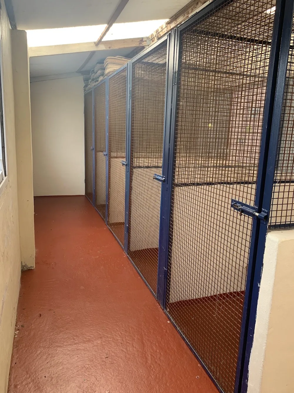 Moorlands Cattery - Pontesford pet otel