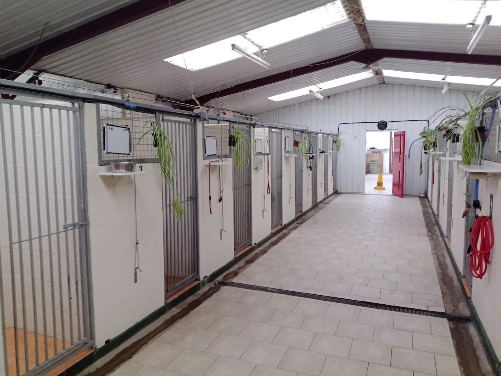 Netley Boarding Kennels & Cattery - Pontesford pet otel görseli 3