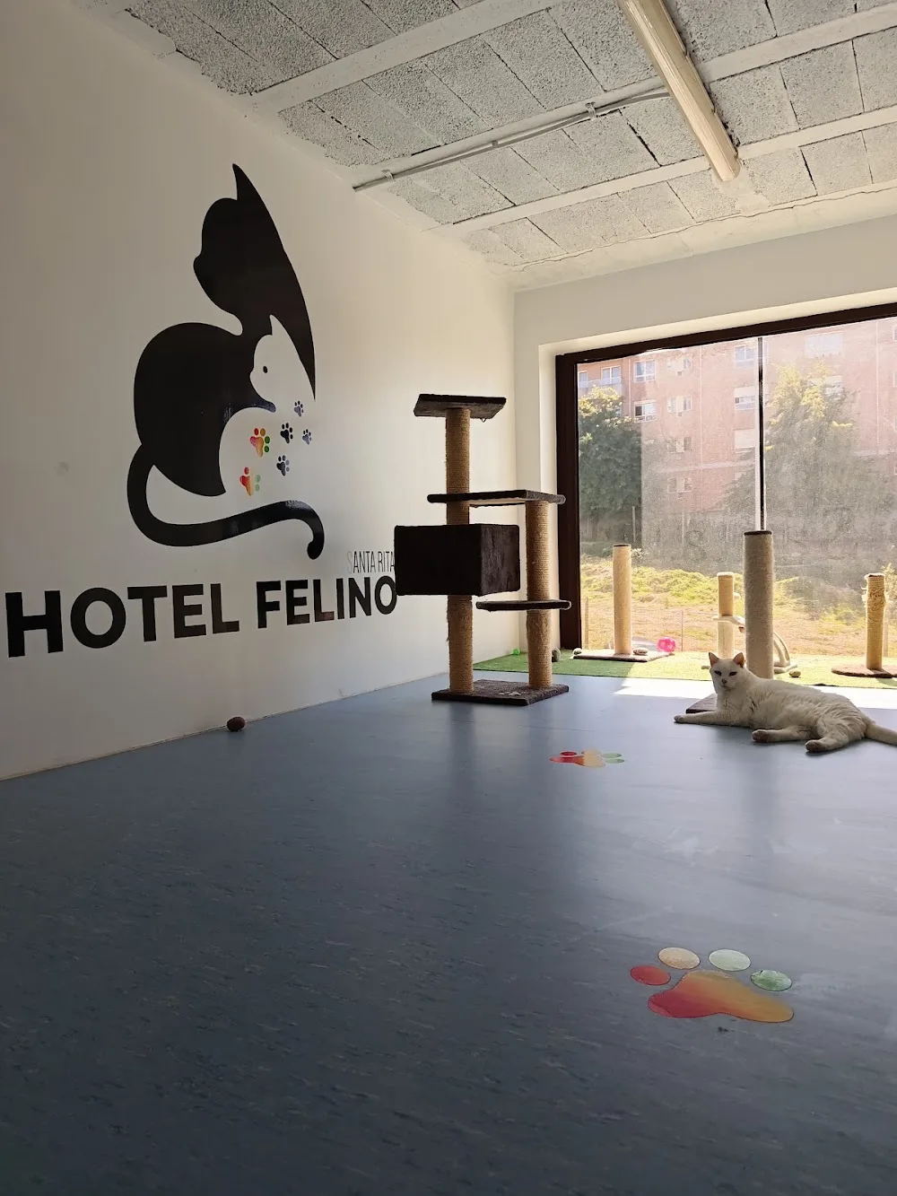 Hotel Felino Santa Rita - Porto pet otel