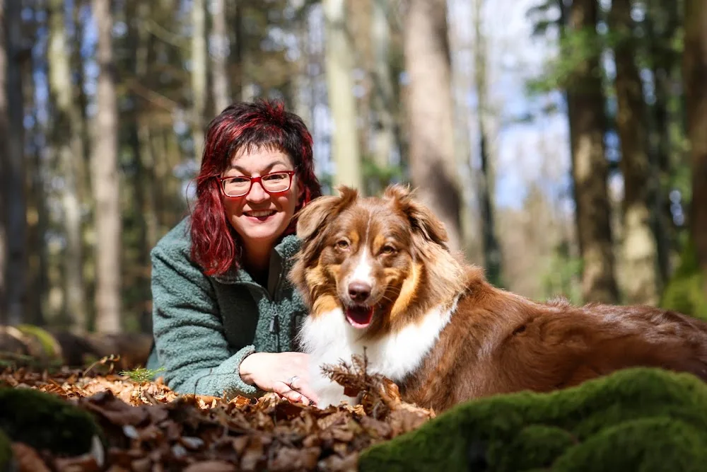 Hundetagesstätte/Hundepension Elke Zellner - Prachatice pet otel