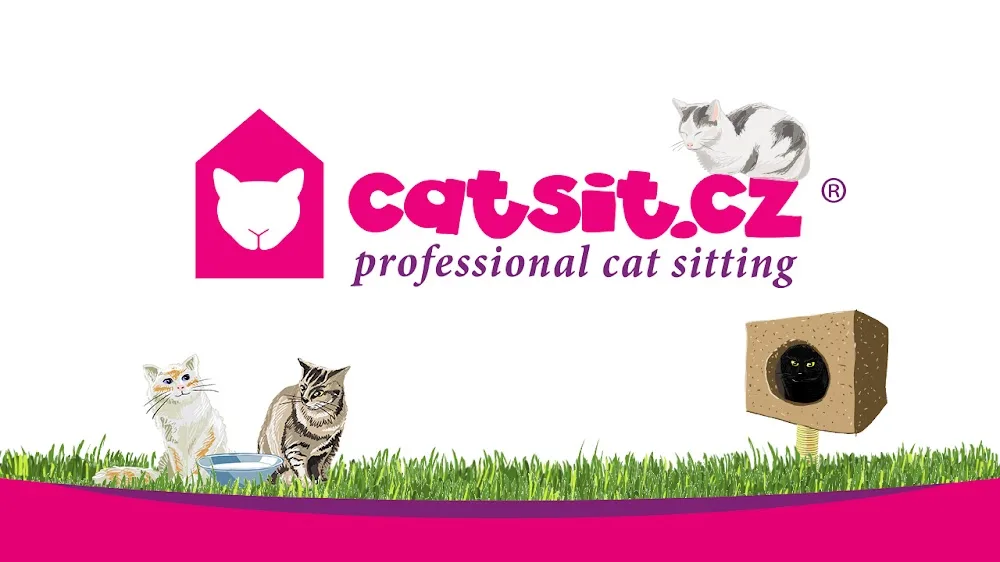 Catsit - Prague's No.1 Catsitting Company Since 2011 - Prague pet otel görseli 3
