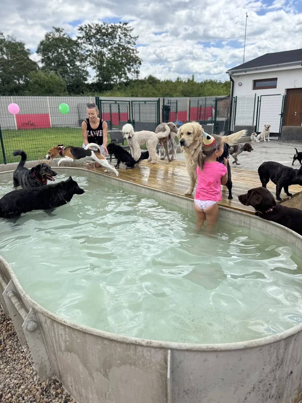 Psí školka Happy Dog - Prague pet otel görseli 7