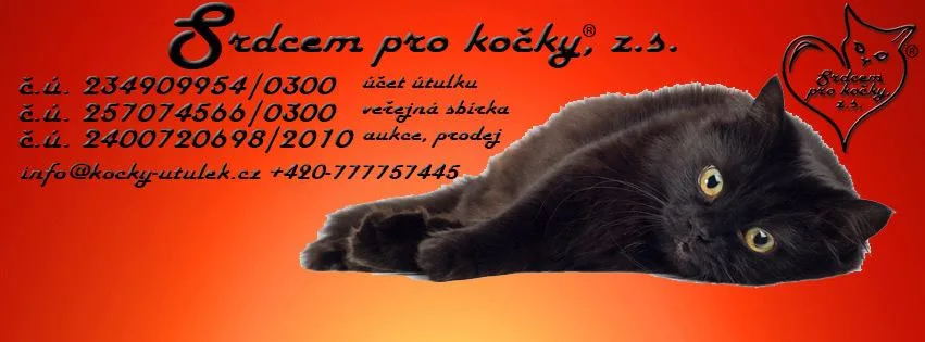 Srdcem pro kočky, z.s. - Praha-západ pet otel