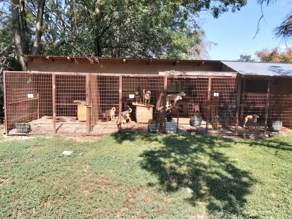 Bucov Kennel - Prahova pet otel görseli 2