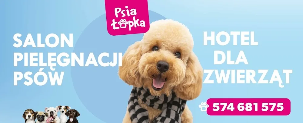 Psia Łapka - hotel i salon dla piesków - Preczów pet otel