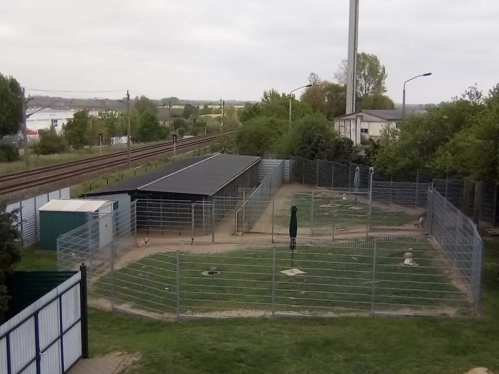 Tierpension Prenzlau - Prenzlau pet otel