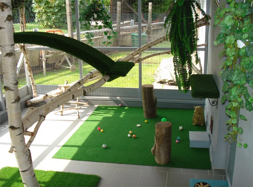 Tierpension Prenzlau - Prenzlau pet otel görseli 3