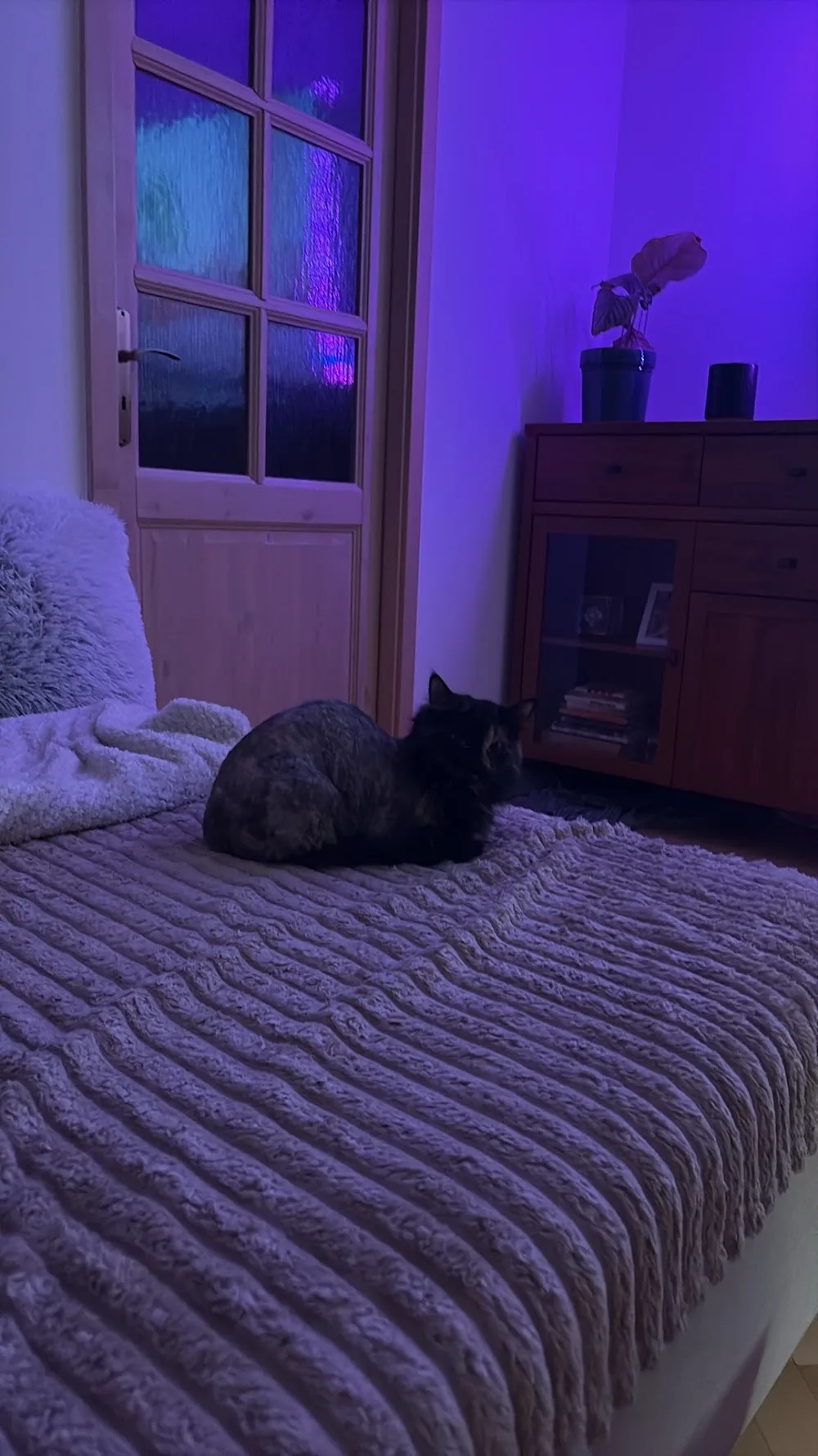 Iveta Stawarzová - Příbram pet otel görseli 3