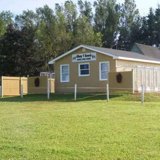 Albany Y Kennels - Prince Edward Island pet otel görseli 3