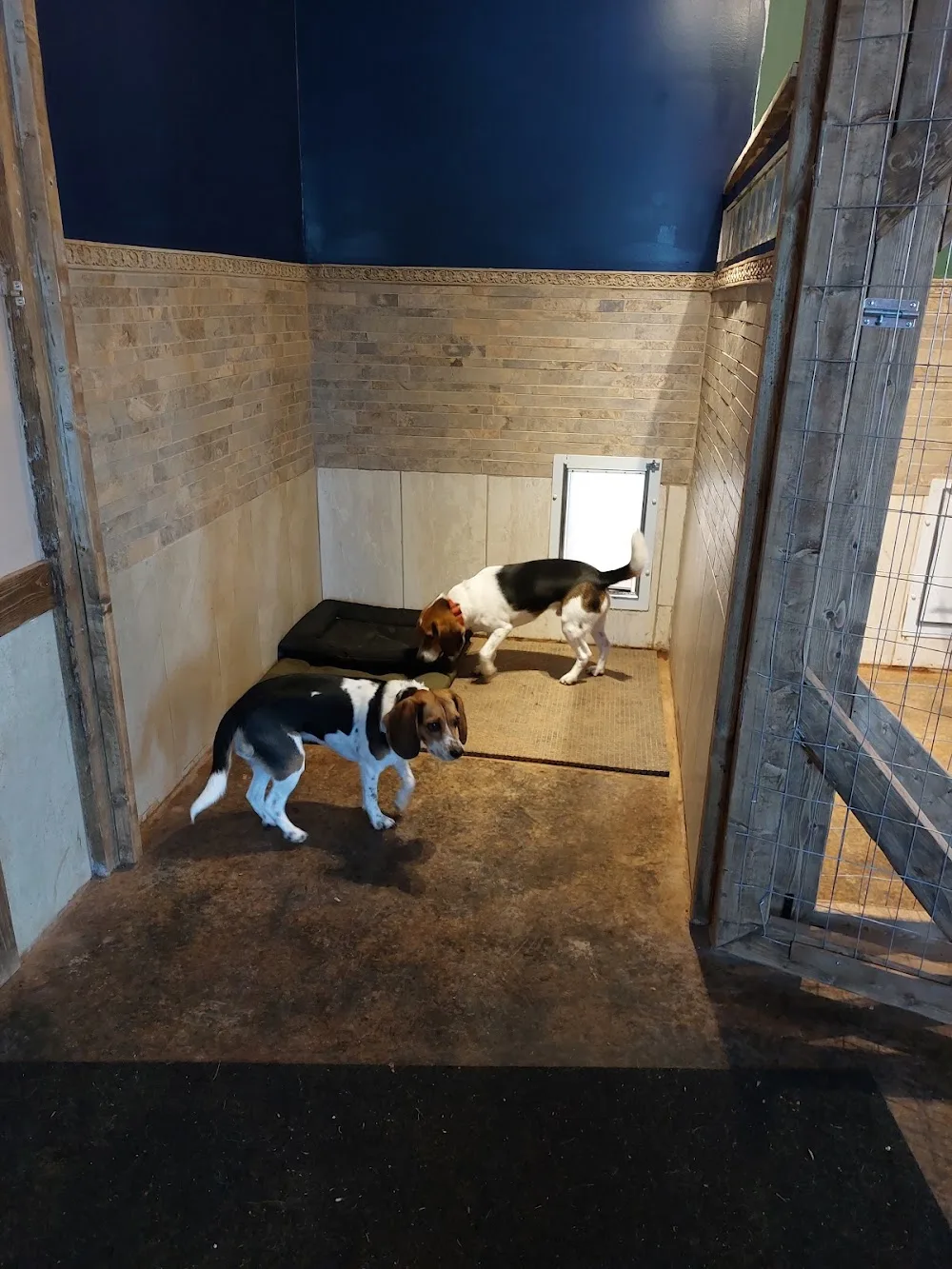 Country View Dog Care - Prince Edward Island pet otel