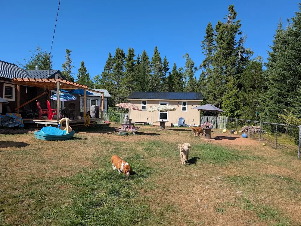 The Wiggle Butt Hutt Boarding Kennel - Prince Edward Island pet otel